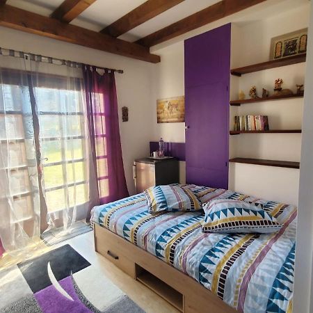 Maison Le Lezard Chez Amalia Et Fred Thonon-les-Bains Bagian luar foto