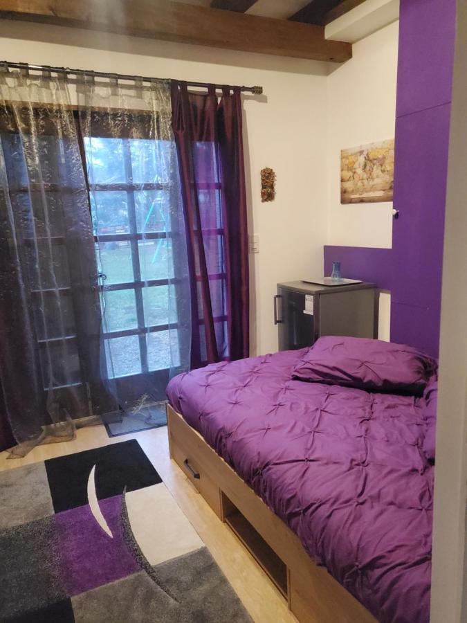 Maison Le Lezard Chez Amalia Et Fred Thonon-les-Bains Bagian luar foto