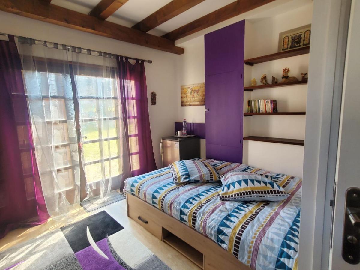 Maison Le Lezard Chez Amalia Et Fred Thonon-les-Bains Bagian luar foto