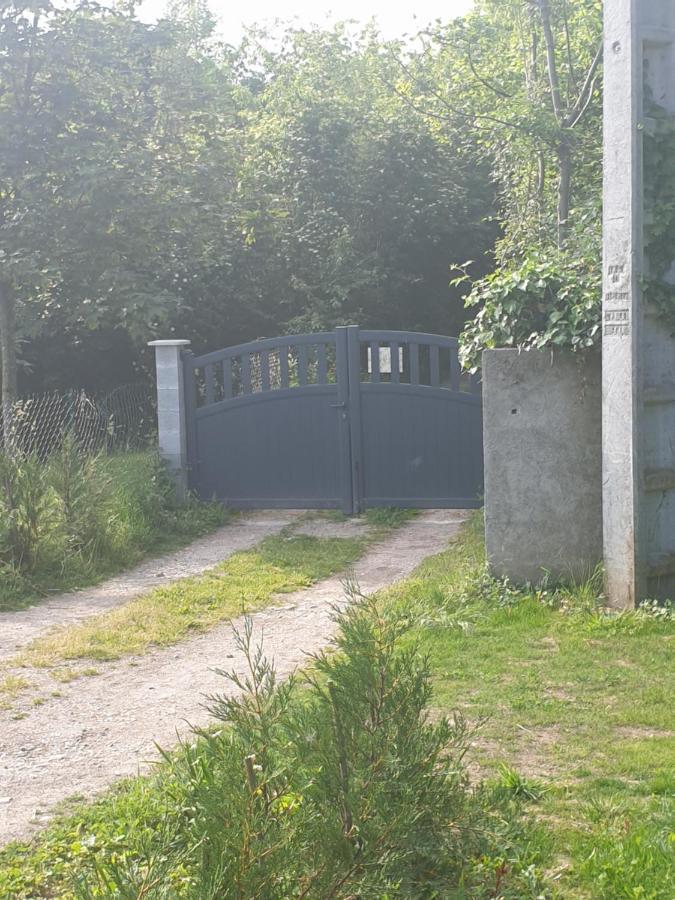 Maison Le Lezard Chez Amalia Et Fred Thonon-les-Bains Bagian luar foto